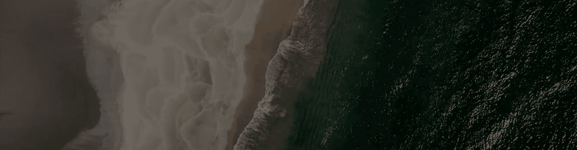 Demo LMS hero banner